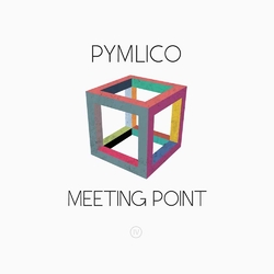 Pymlico Meeting Point ( LP+Cd) Vinyl LP