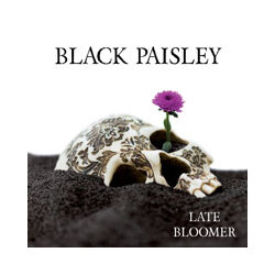 Black Paisley Late Bloomer Vinyl LP