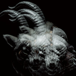 The GazettE Beautiful Deformity