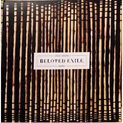 Steve Moore Beloved Exile (Coloured Vinyl) Vinyl LP