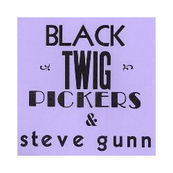 Black Twig Pickers & Steve Gun Lonesome Vally Vinyl 7"