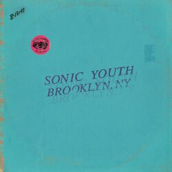 Sonic Youth Live In Brooklyn 2011 PINK / BLUE VINYL 2 LP