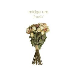 Midge Ure Fragile Vinyl LP