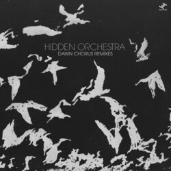 Hidden Orchestra Dawn Chorus Remixes Vinyl 12In X2