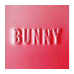 Matthew Dear Bunny (Rainbow Splatter)2 Vinyl  LP 