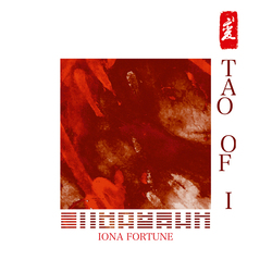 Iona Fortune Tao Of I Vinyl  LP