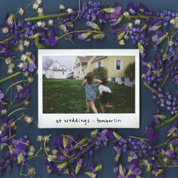 Tomberlin At Weddings  LP Download