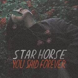 Star Horse You Said Forever  LP Import