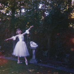 Wolf Alice Visions Of A Life 2 LP 180 Gram Gatefold Download