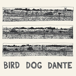 John Parish Bird Dog Dante Vinyl LP USED