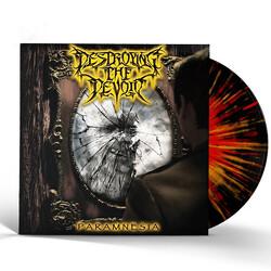 Destroying The Devoid Paramnesia Vinyl LP USED