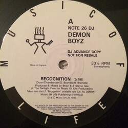 Demon Boyz Recognition Vinyl USED