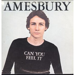 Bill Amesbury Can You Feel It Vinyl LP USED