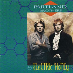 The Partland Brothers Electric Honey Vinyl LP USED