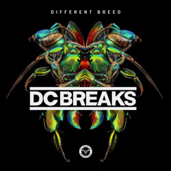 DC Breaks Different Breed Vinyl USED