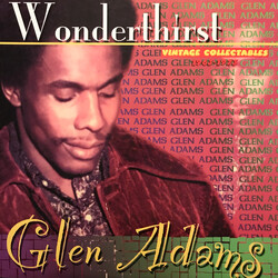 Glen Adams Wonderthirst Vinyl LP USED