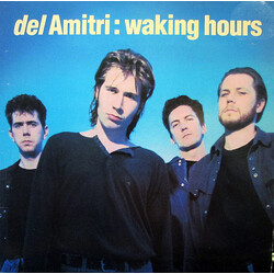 Del Amitri Waking Hours Vinyl LP USED