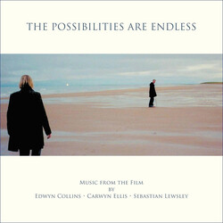 Edwyn Collins / Carwyn Ellis / Sebastian Lewsley The Possibilities Are Endless Vinyl LP USED