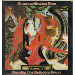 The Amazing Rhythm Aces Burning The Ballroom Down Vinyl LP USED