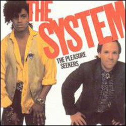 The System The Pleasure Seekers Vinyl LP USED