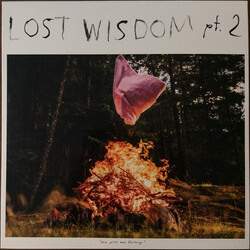 Mount Eerie / Julie Doiron Lost Wisdom Pt. 2 Vinyl LP USED