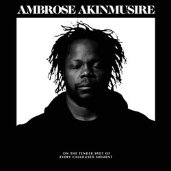 Ambrose Akinmusire On The Tender Spot Of Every Calloused Moment Vinyl LP USED