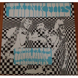 The Beatnik Flies From Parts Unknown Vinyl LP USED