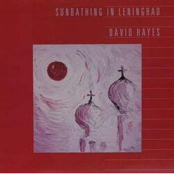 David Hayes Sunbathing In Leningrad Vinyl LP USED