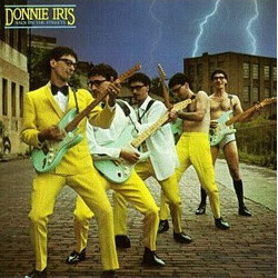 Donnie Iris Back On The Streets Vinyl LP USED