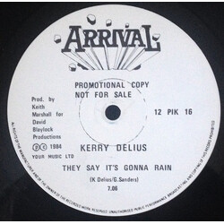 Kerry Delius They Say It's Gonna Rain Vinyl USED