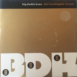 Big Daddy Kane Ain't No Stoppin' Us Now Vinyl USED