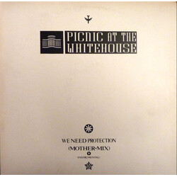 Picnic At The Whitehouse We Need Protection (Mother Mix) Vinyl USED